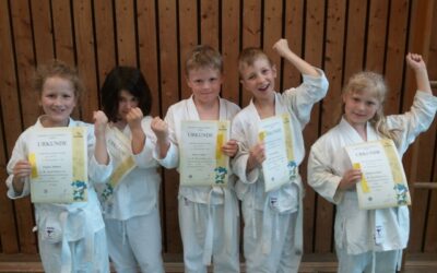 Die erste Ju Jitsu-Prüfung gemeistert