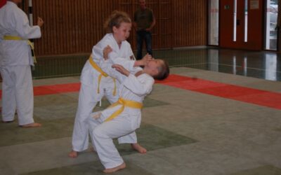 Ju Jitsu Prüfungsmarathon erfolgreich gemeistert