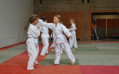 Zum Saisonabschluss haben die Kinder der Ju Jitsu Abteilung ihr Können bewiesen