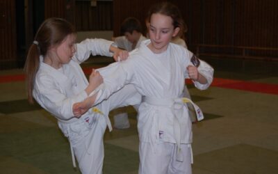 Ju Jitsuka-Kinder präsentierten erfolgreich ihr Können