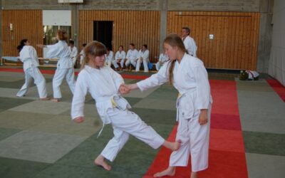 Zum Saisonabschluss haben die Kinder der Ju Jitsu Abteilung ihr Können bewiesen