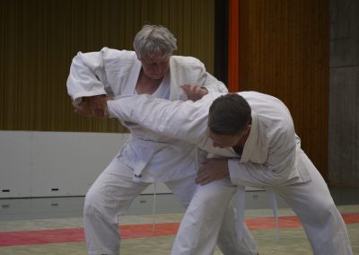 Armstreckhebel zum Boden