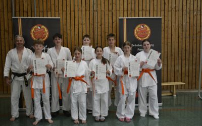 Jugendliche erreichen den orangenen Gürtel
