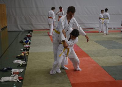 Eingang zum Hueftwurf