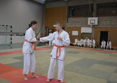 Handbeugehebel